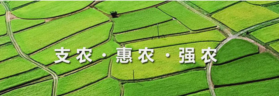 自貢市農(nóng)業(yè)融資擔保有限責任公司